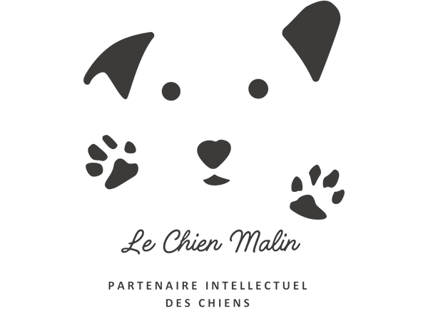 Le Chien Malin